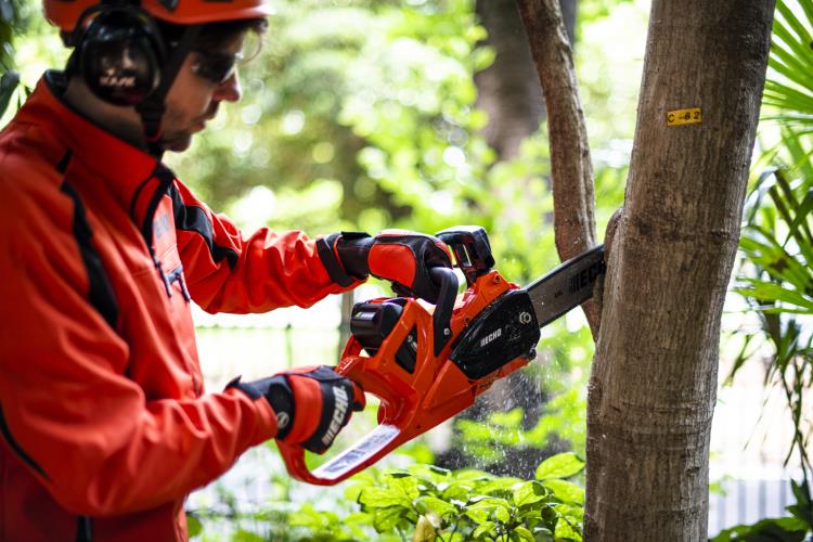 Echo Top Handle Chain Saw DCS-2500 - DCS-2500 (26).jpg